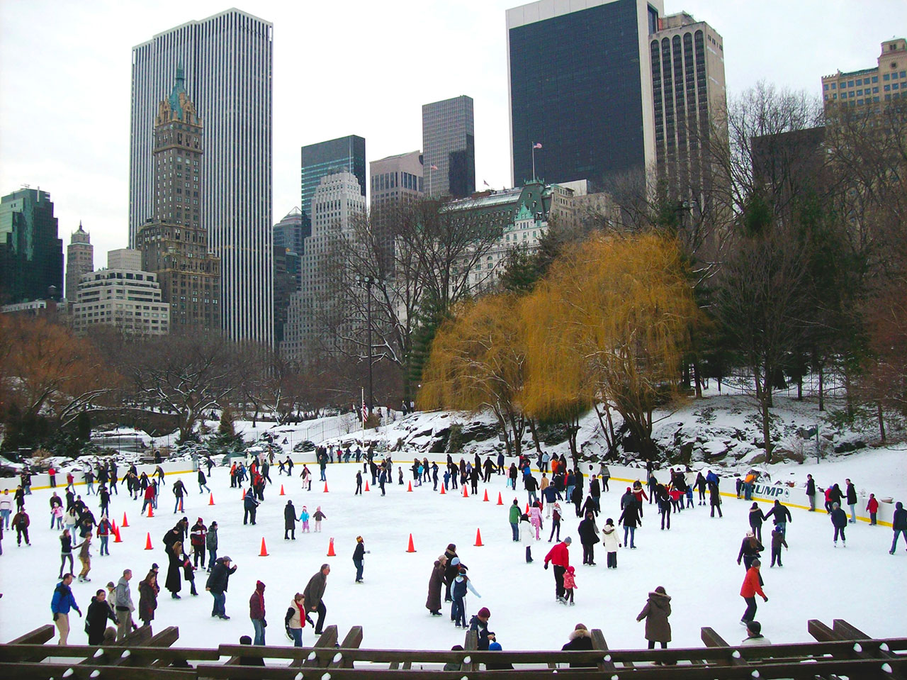 Central Park al ritmo de las temporadas: un viaje a través de eventos y tradiciones